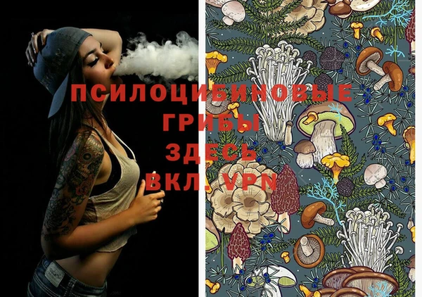ешки Бугульма