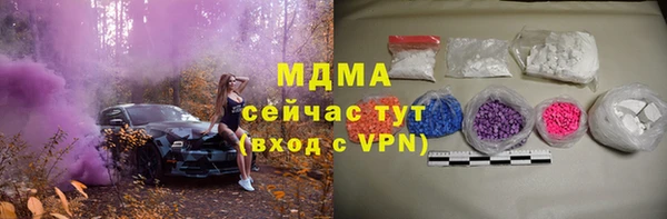 apvp Бородино