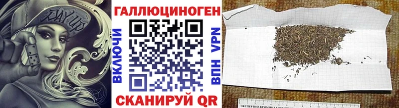 где продают   omg зеркало  Галлюциногенные грибы Cubensis  Новохопёрск 